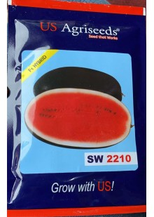 SW 2210 Watermelon